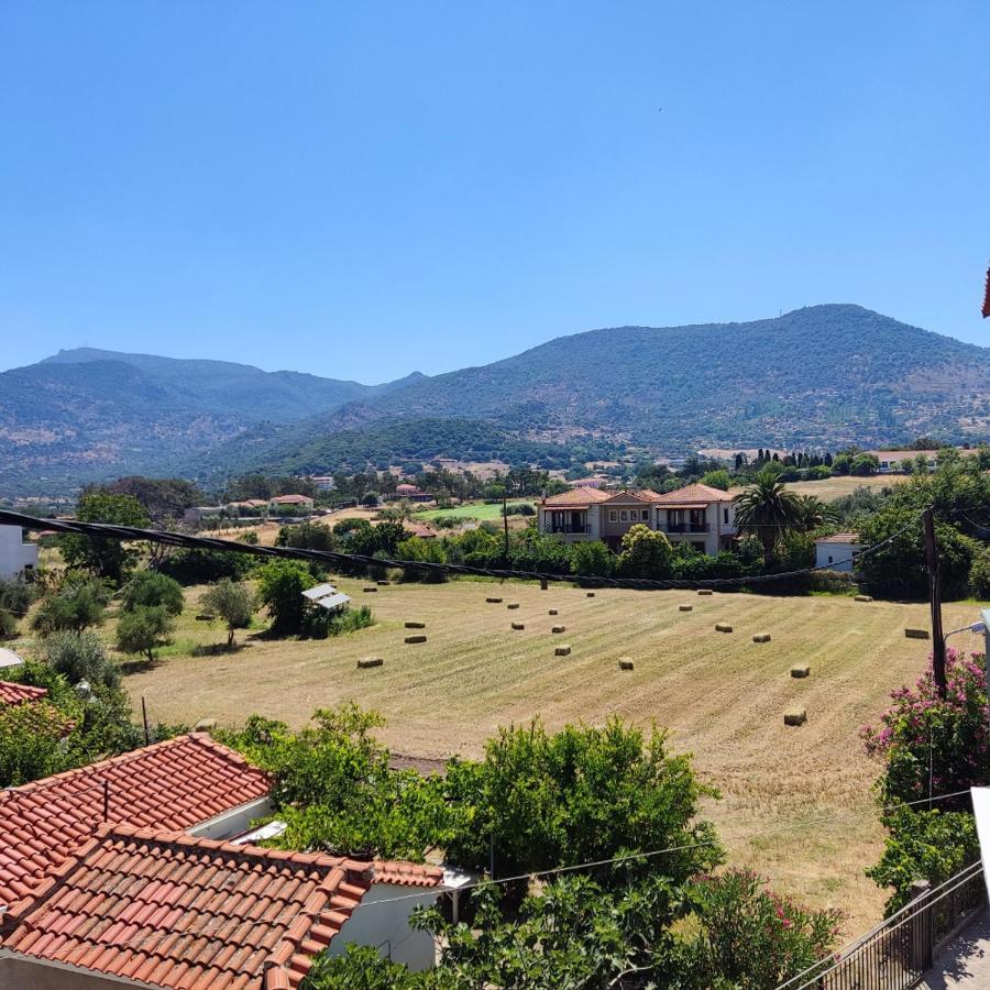 Hotel Ilion