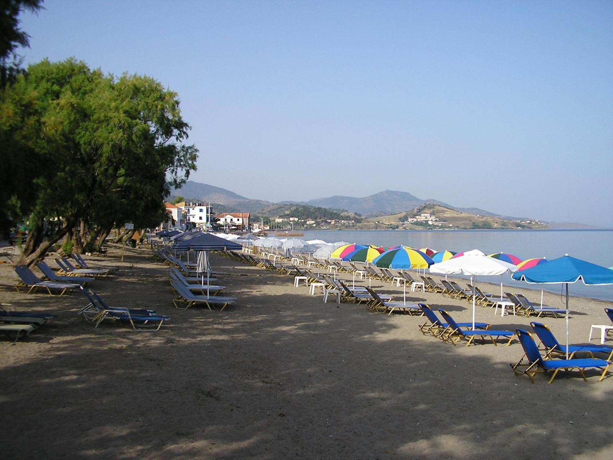 Ilion